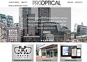 Pro optical Boston Website