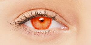 BioSPORT Contact Lenses