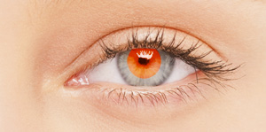BioSPORT Contact Lenses