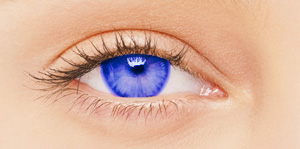 BioSPORT Contact Lenses
