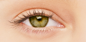 BioSPORT Contact Lenses