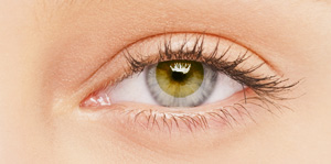 BioSPORT Contact Lenses