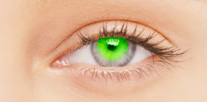 BioSPORT Contact Lenses
