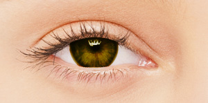 BioSPORT Contact Lenses