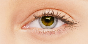 BioSPORT Contact Lenses