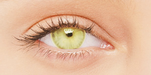 BioSPORT Contact Lenses