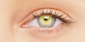 BioSPORT Contact Lenses
