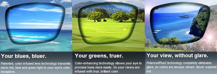 Maui jim polarized plus 2 Clearance