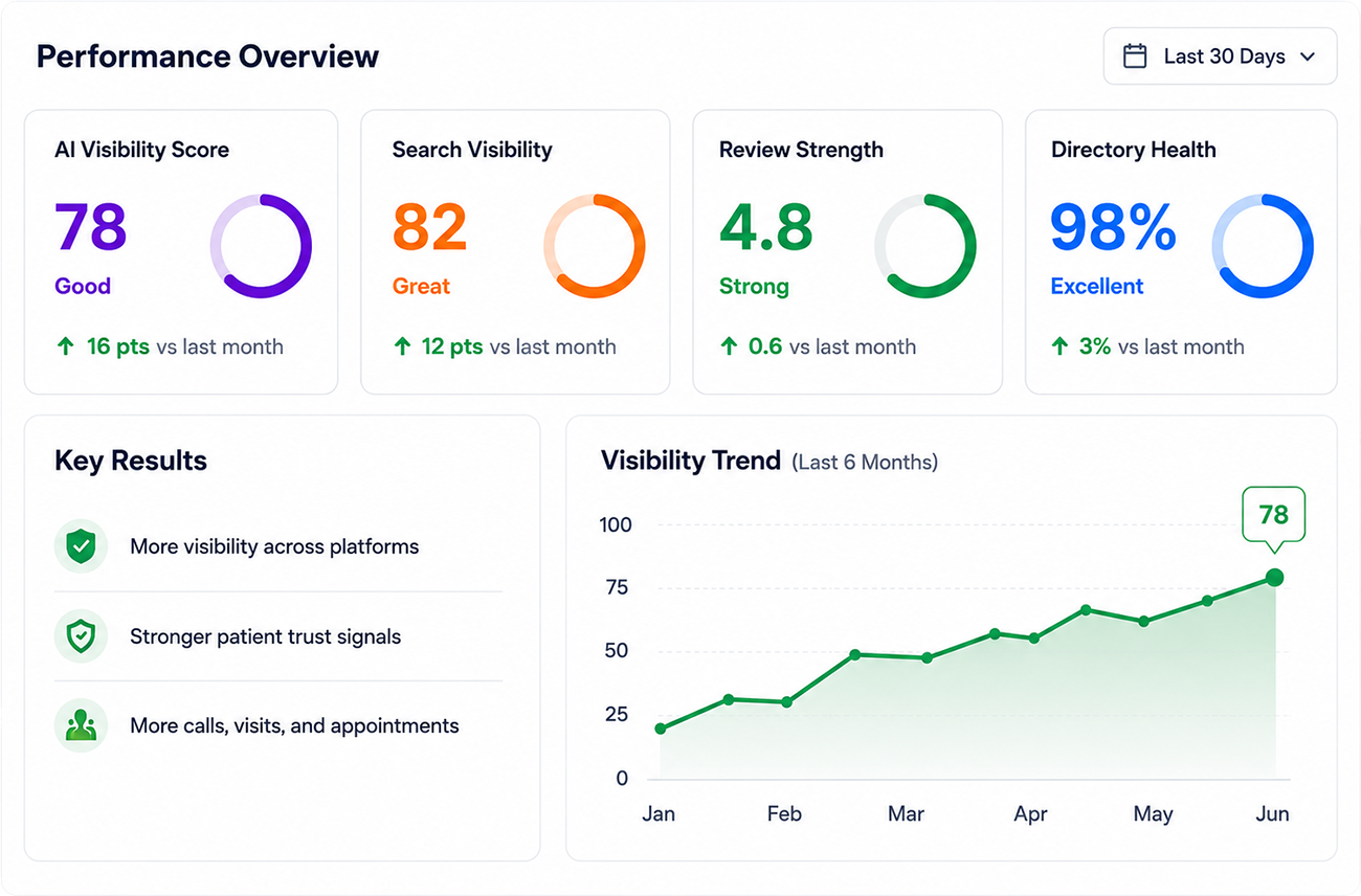 Performance Overview dashboard showing improved AI visibility, Search Engine Visibility, review strength, directory health, key results, and visibility trend.